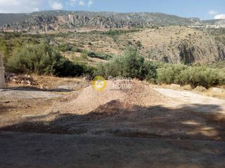Αγροτεμάχια 7.200 τ.μ. για πώληση, Φωκίδα, Δελφοί-thumb-5