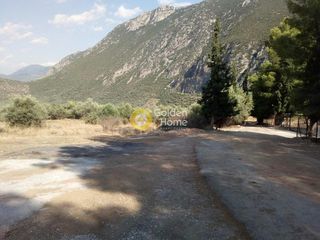 Αγροτεμάχια 7.200 τ.μ. για πώληση, Φωκίδα, Δελφοί-thumb-6