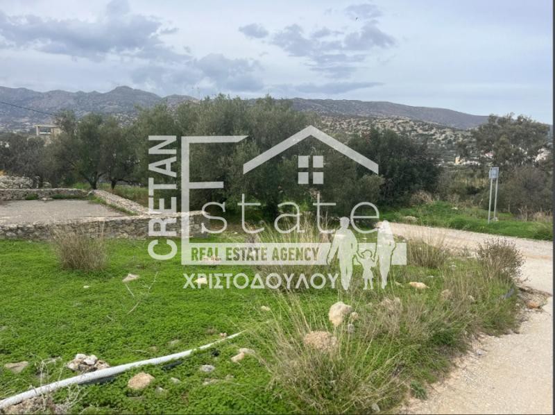 Οικόπεδο 1.000 τ.μ. πρός πώληση, Ν. Λασιθίου, Ιεράπετρα
