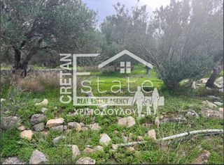 Οικόπεδο 1.000 τ.μ. πρός πώληση, Ν. Λασιθίου, Ιεράπετρα-thumb-5