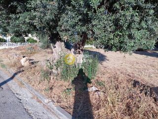 Οικόπεδο 741 τ.μ. πρός πώληση, Αττική - Υπόλοιπο, Ραφήνα-thumb-5