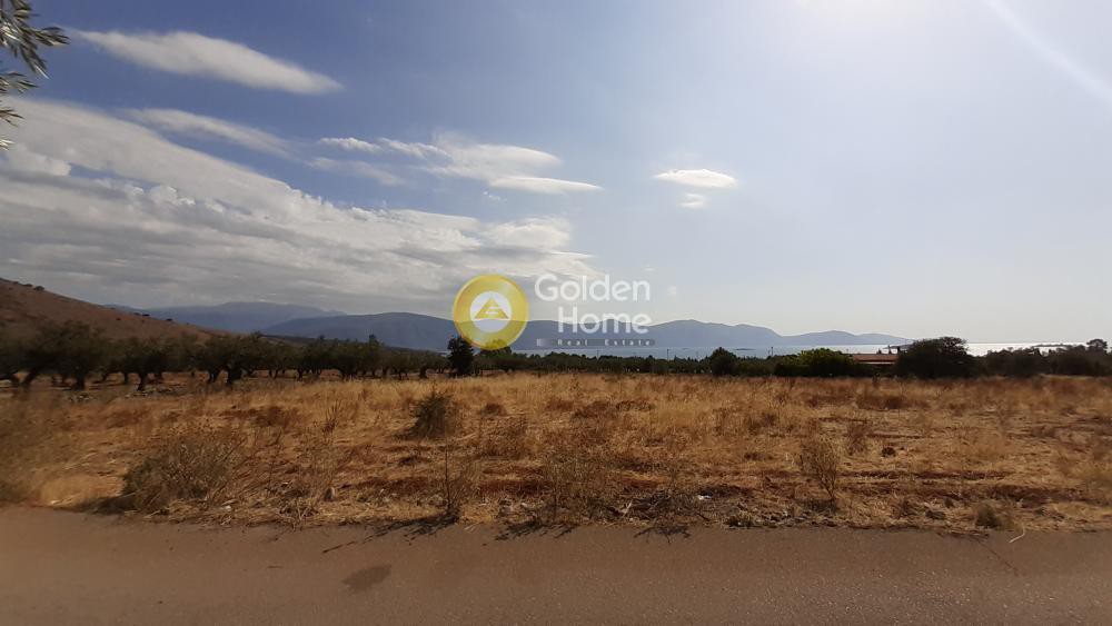 Οικόπεδο 3.247 τ.μ. προς πώληση, Άγιος Γεώργιος Γαλαξιδίου