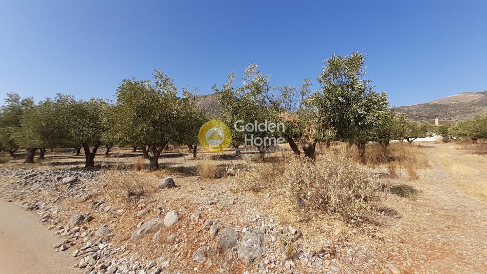 Οικόπεδο 3.247 τ.μ. προς πώληση, Άγιος Γεώργιος Γαλαξιδίου