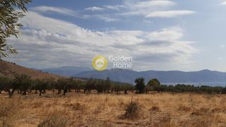 Οικόπεδο 3.247 τ.μ. προς πώληση, Άγιος Γεώργιος Γαλαξιδίου-thumb-7