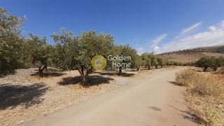 Οικόπεδο 3.247 τ.μ. για πώληση