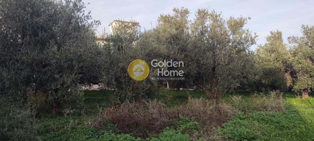 Οικόπεδο 358 τ.μ. προς πώληση, Κολλυβάς