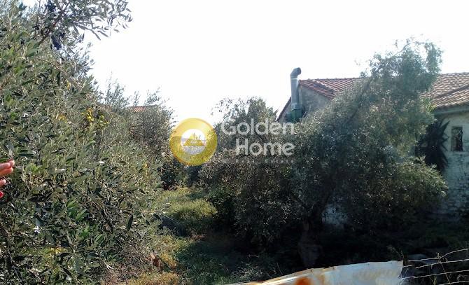 Οικόπεδο 509 τ.μ. πρός πώληση, Μαγνησία, Αισωνία