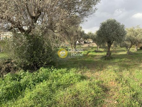 Αγροτεμάχια 3.494τ.μ. για πώληση-Κορωπί » Καρελλάς