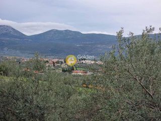 Αγροτεμάχια 13.200 τ.μ. για πώληση, Αργολίδα, Επίδαυρος-thumb-3