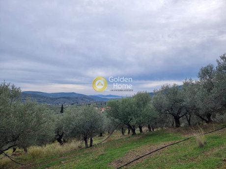 Αγροτεμάχια 13.200τ.μ. για πώληση-Επίδαυρος » Νέα δήμαινα