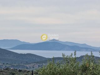 Αγροτεμάχια 13.200 τ.μ. για πώληση, Αργολίδα, Επίδαυρος-thumb-2
