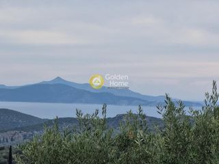 Αγροτεμάχια 13.200 τ.μ. για πώληση, Αργολίδα, Επίδαυρος-thumb-5