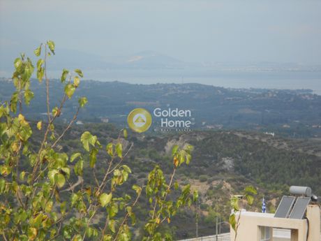 Μονοκατοικία 390τ.μ. για πώληση-Ωρωπός » Αγία βαρβάρα