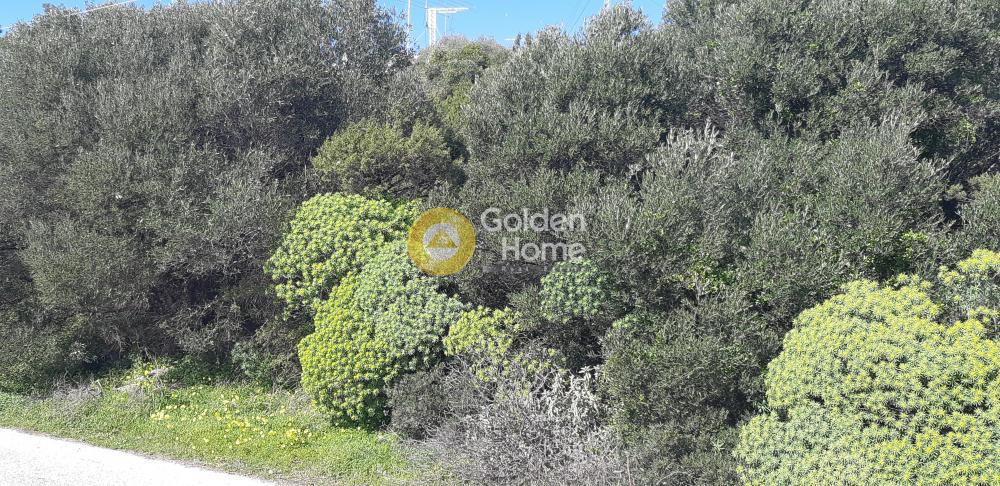 Οικόπεδο 1.082 τ.μ. προς πώληση, Δικαστικά Μαραθώνα