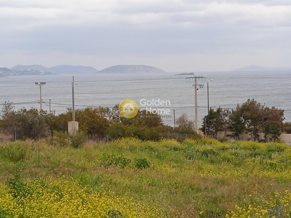 Οικόπεδο 4.000 τ.μ. προς πώληση, Άγιος Δημήτριος Κορωπίου
