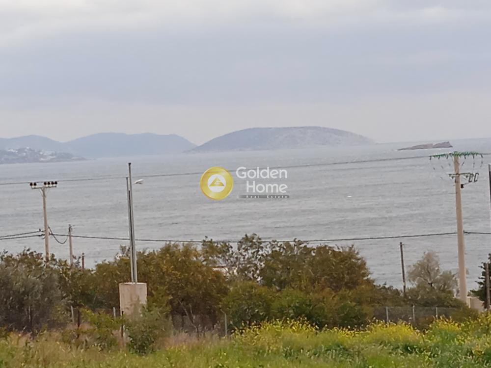 Οικόπεδο 4.000 τ.μ. προς πώληση, Άγιος Δημήτριος Κορωπίου