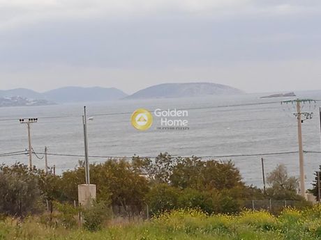 Οικόπεδο 4.000τ.μ. για πώληση-Κορωπί » Άγιος δημήτριος
