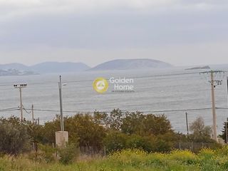Οικόπεδο 4.000 τ.μ. για πώληση