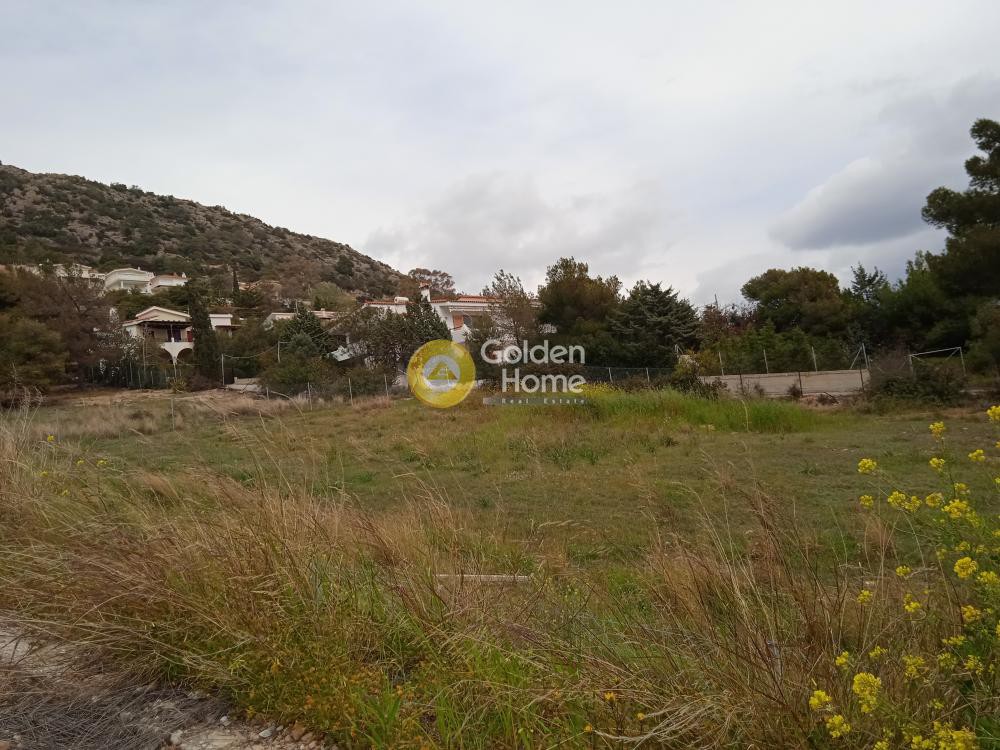 Οικόπεδο 4.000 τ.μ. προς πώληση, Άγιος Δημήτριος Κορωπίου