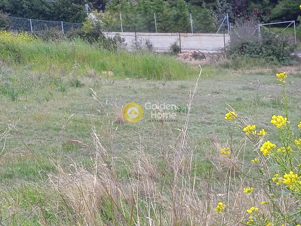 Οικόπεδο 4.000 τ.μ. προς πώληση, Άγιος Δημήτριος Κορωπίου