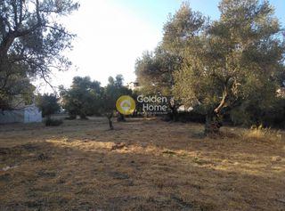 Οικόπεδο 1.043 τ.μ. για πώληση