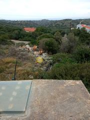 Οικόπεδο 18.000 τ.μ. για πώληση