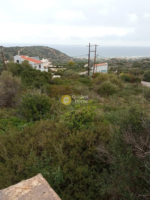 Οικόπεδο 18.000 τ.μ. προς πώληση, Επάνω Σίσι