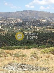 Οικόπεδο 4.030 τ.μ. για πώληση, Ν. Ηρακλείου, Τυμπάκι-thumb-15