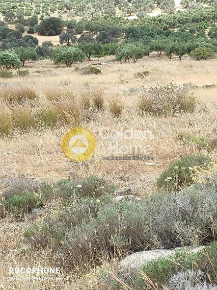 Οικόπεδο 4.030 τ.μ. προς πώληση, Καμηλάρι
