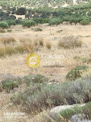 Οικόπεδο 4.030 τ.μ. για πώληση, Ν. Ηρακλείου, Τυμπάκι-thumb-1