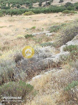 Οικόπεδο 4.030 τ.μ. για πώληση, Ν. Ηρακλείου, Τυμπάκι