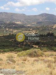 Οικόπεδο 4.030 τ.μ. για πώληση, Ν. Ηρακλείου, Τυμπάκι-thumb-16