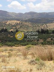 Οικόπεδο 4.030 τ.μ. για πώληση, Ν. Ηρακλείου, Τυμπάκι-thumb-17