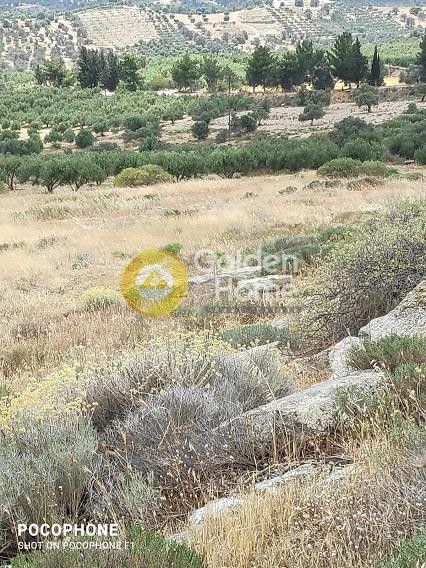 Οικόπεδο 4.030 τ.μ. προς πώληση, Καμηλάρι