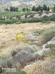 Οικόπεδο 4.030 τ.μ. για πώληση, Ν. Ηρακλείου, Τυμπάκι-thumb-3