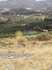 Οικόπεδο 4.030 τ.μ. για πώληση, Ν. Ηρακλείου, Τυμπάκι-thumb-11