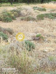 Οικόπεδο 4.030 τ.μ. για πώληση, Ν. Ηρακλείου, Τυμπάκι-thumb-4