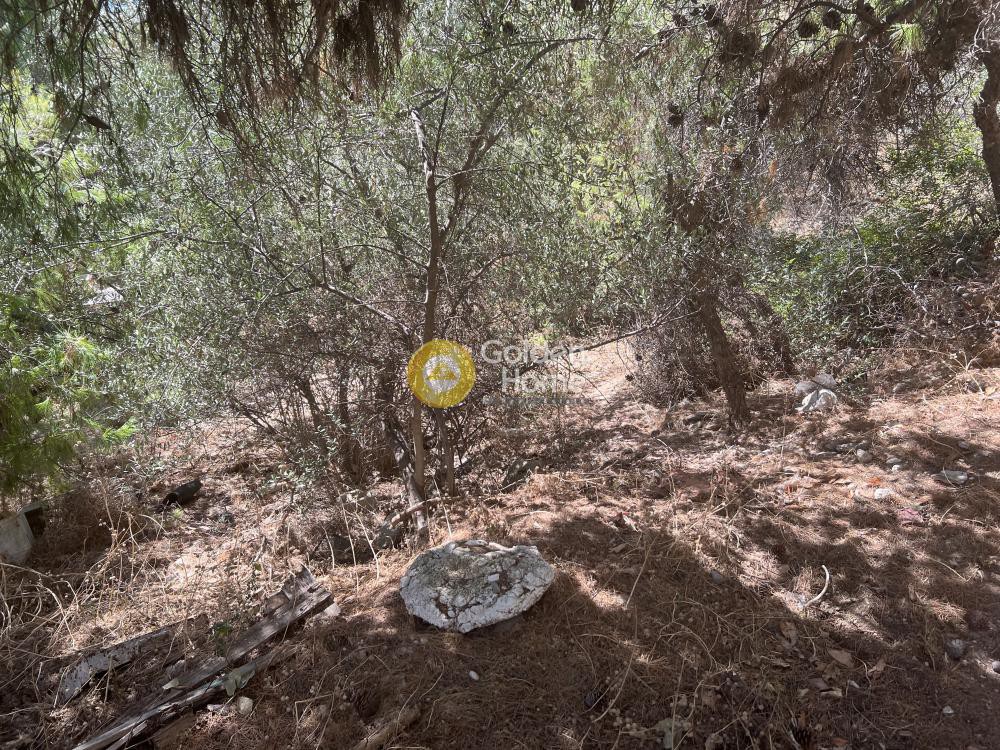 Οικόπεδο 202 τ.μ. προς πώληση, Άνω Πετρούπολη