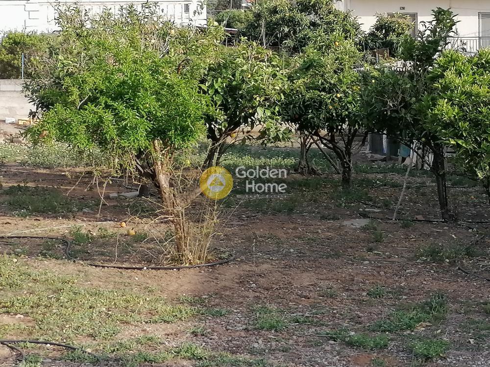 Οικόπεδο 400 τ.μ. προς πώληση, Πόμπια