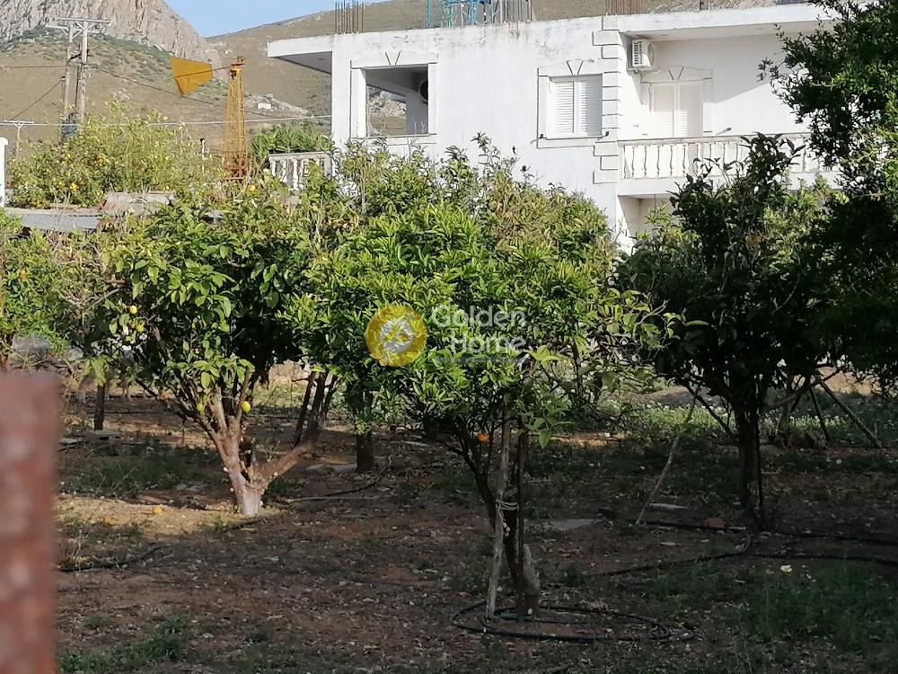 Οικόπεδο 400 τ.μ. προς πώληση, Πόμπια