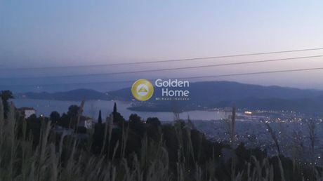 Οικόπεδο 1.300τ.μ. για πώληση-Πορταριά » Σταγιάτες