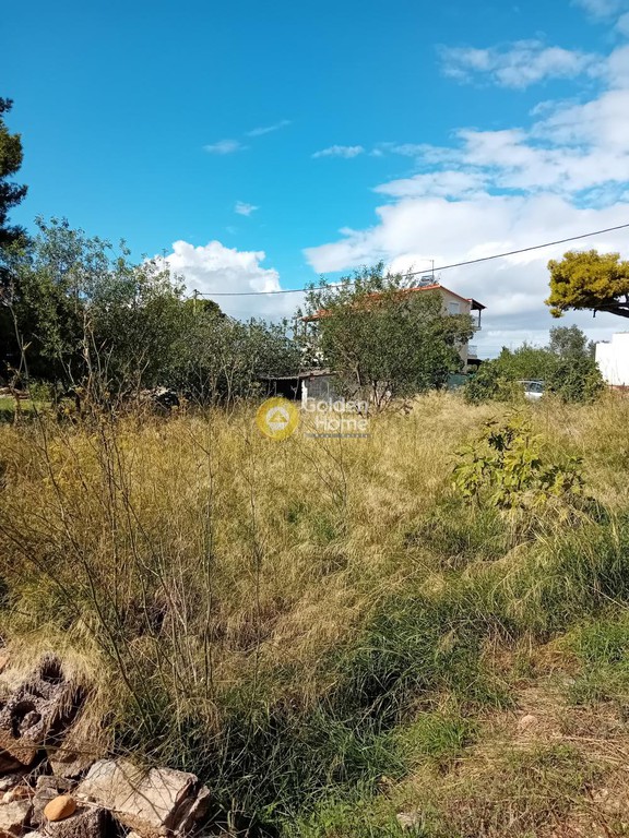 Οικόπεδο 370 τ.μ. προς πώληση, Μπάλανα