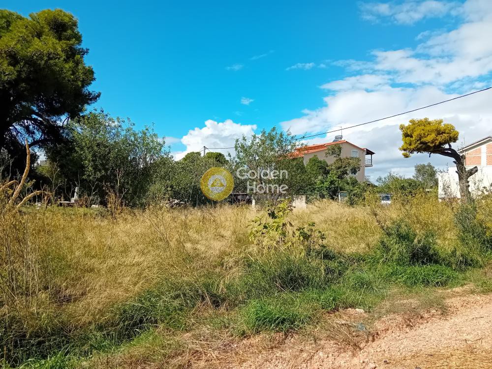 Οικόπεδο 370 τ.μ. προς πώληση, Μπάλανα