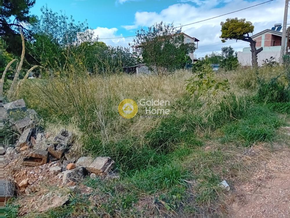 Οικόπεδο 370 τ.μ. προς πώληση, Μπάλανα
