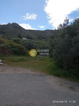 Land plot 1.751sqm for sale-Aegina » Livadi