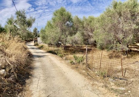 Οικόπεδο 1.480 τ.μ. για πώληση