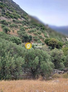 Land plot 9.329sqm for sale-Ierapetra » Kavousi