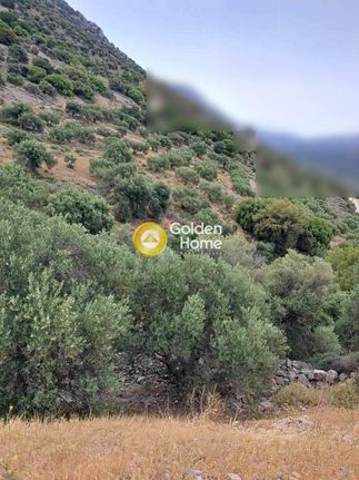 Οικόπεδο 9.329 τ.μ. για πώληση, Ν. Λασιθίου, Ιεράπετρα
