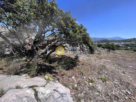 Land plot 750sqm for sale-Mallia » Mochos