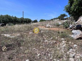 Οικόπεδο 750 τ.μ. για πώληση, Ν. Ηρακλείου, Μάλλια-thumb-14